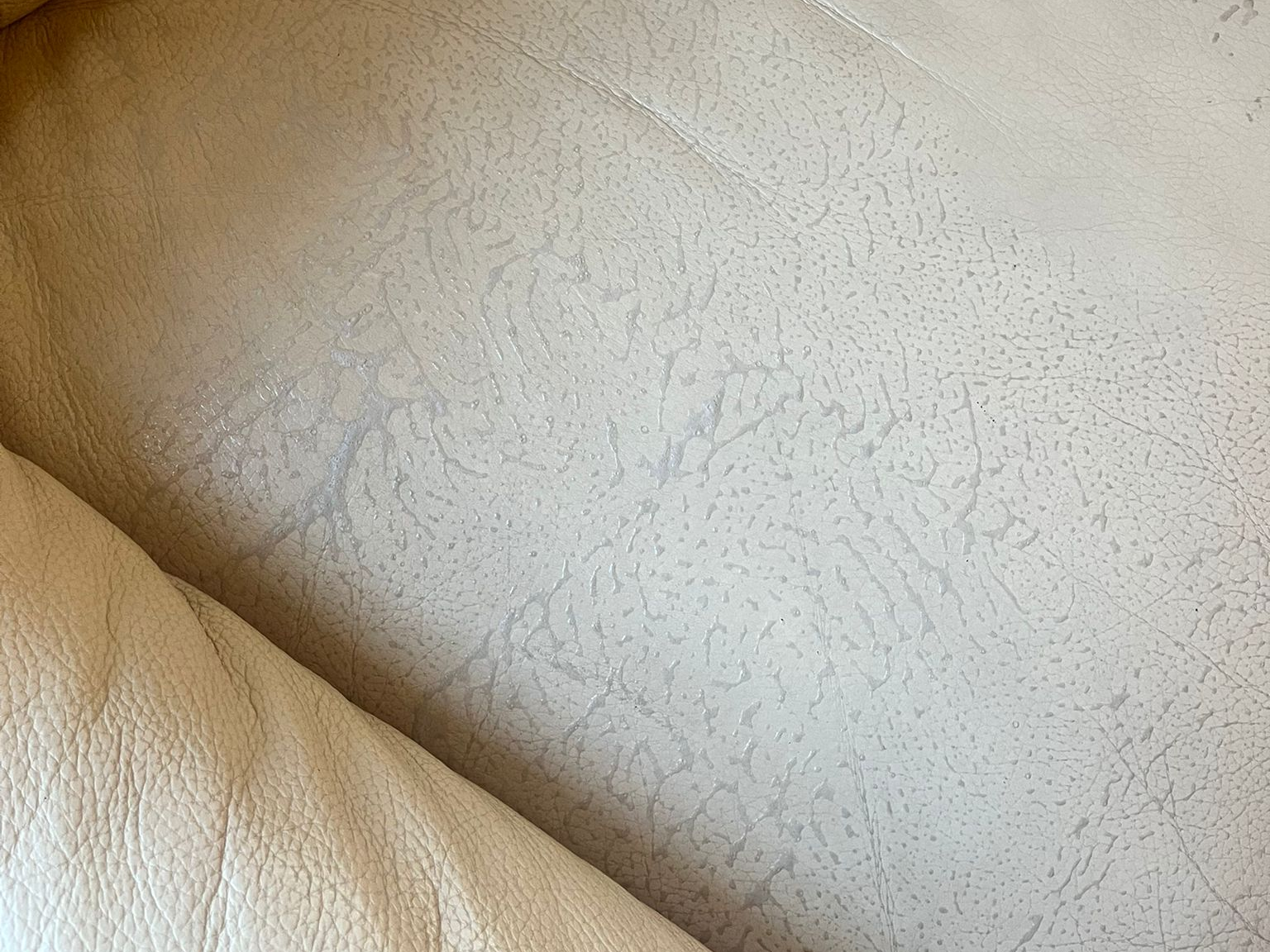 Czyszczenie i impregnacja skór Rybnik